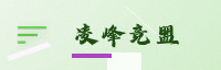 合作伙伴